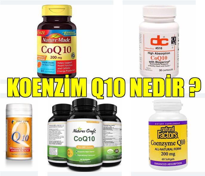 koenzim q10 nedir ne işe yarar faydaları nelerdir